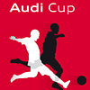 audi_cup